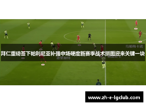 拜仁重磅签下帕利尼亚补强中场硬度新赛季战术拼图迎来关键一块